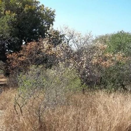 Aloes Bush Stay Hoedspruit Exterior photo