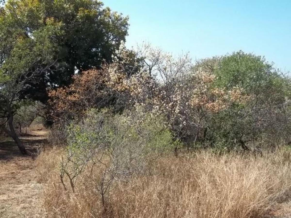 Aloes Bush Stay Hoedspruit Exterior photo