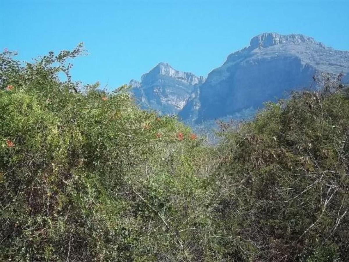 Aloes Bush Stay Hoedspruit Exterior photo