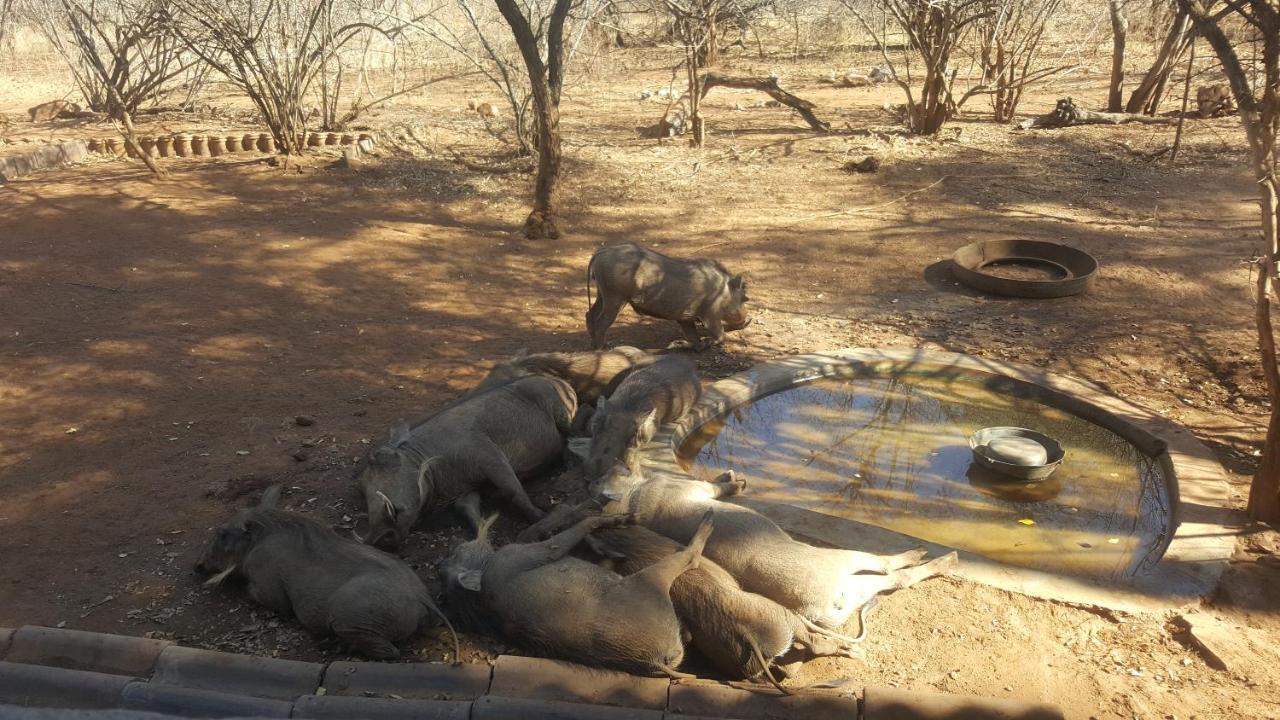 Aloes Bush Stay Hoedspruit Exterior photo